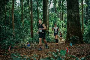 BIB: 
                            <button type="button" onclick="openModal(26128708)" class="btn btn-primary btn-sm float-right btn-popup" data-toggle="modal" data-target=".modal-high-quality">
                        <i class="fas fa-shopping-cart"></i> Add to Cart
                    </button>
                                            <button type="button" onclick="isThisMe(26128708, true)" class="btn btn-success btn-sm float-right btn-popup btn-isme hidden" data-toggle="tooltip" data-placement="bottom" title="นี่คือรูปของคุณใช่ไหม คลิกที่นี่เพื่อเอาเข้าอัลบั้ม">
                        <i class="fas fa-plus"></i> Add to album
                    </button>
                    <button type="button" onclick="isThisMe(26128708, false)" class="btn btn-warning btn-sm float-right btn-popup btn-isnotme hidden">
                        <i class="fas fa-ban"></i> Remove from album
                    </button>