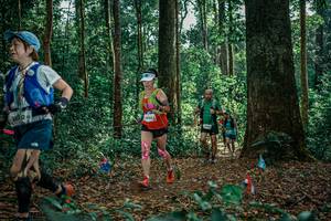 BIB: 
                            <button type="button" onclick="openModal(26128551)" class="btn btn-primary btn-sm float-right btn-popup" data-toggle="modal" data-target=".modal-high-quality">
                        <i class="fas fa-shopping-cart"></i> Add to Cart
                    </button>
                                            <button type="button" onclick="isThisMe(26128551, true)" class="btn btn-success btn-sm float-right btn-popup btn-isme hidden" data-toggle="tooltip" data-placement="bottom" title="นี่คือรูปของคุณใช่ไหม คลิกที่นี่เพื่อเอาเข้าอัลบั้ม">
                        <i class="fas fa-plus"></i> Add to album
                    </button>
                    <button type="button" onclick="isThisMe(26128551, false)" class="btn btn-warning btn-sm float-right btn-popup btn-isnotme hidden">
                        <i class="fas fa-ban"></i> Remove from album
                    </button>