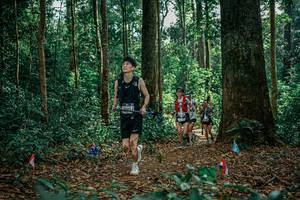 BIB: 
                            <button type="button" onclick="openModal(26129222)" class="btn btn-primary btn-sm float-right btn-popup" data-toggle="modal" data-target=".modal-high-quality">
                        <i class="fas fa-shopping-cart"></i> Add to Cart
                    </button>
                                            <button type="button" onclick="isThisMe(26129222, true)" class="btn btn-success btn-sm float-right btn-popup btn-isme hidden" data-toggle="tooltip" data-placement="bottom" title="นี่คือรูปของคุณใช่ไหม คลิกที่นี่เพื่อเอาเข้าอัลบั้ม">
                        <i class="fas fa-plus"></i> Add to album
                    </button>
                    <button type="button" onclick="isThisMe(26129222, false)" class="btn btn-warning btn-sm float-right btn-popup btn-isnotme hidden">
                        <i class="fas fa-ban"></i> Remove from album
                    </button>