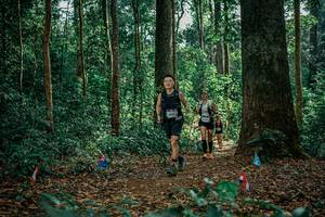 BIB: 
                            <button type="button" onclick="openModal(26128705)" class="btn btn-primary btn-sm float-right btn-popup" data-toggle="modal" data-target=".modal-high-quality">
                        <i class="fas fa-shopping-cart"></i> Add to Cart
                    </button>
                                            <button type="button" onclick="isThisMe(26128705, true)" class="btn btn-success btn-sm float-right btn-popup btn-isme hidden" data-toggle="tooltip" data-placement="bottom" title="นี่คือรูปของคุณใช่ไหม คลิกที่นี่เพื่อเอาเข้าอัลบั้ม">
                        <i class="fas fa-plus"></i> Add to album
                    </button>
                    <button type="button" onclick="isThisMe(26128705, false)" class="btn btn-warning btn-sm float-right btn-popup btn-isnotme hidden">
                        <i class="fas fa-ban"></i> Remove from album
                    </button>