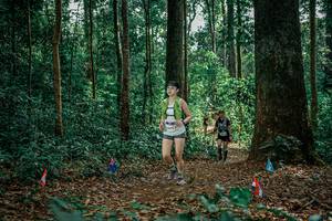 BIB: 
                            <button type="button" onclick="openModal(26134395)" class="btn btn-primary btn-sm float-right btn-popup" data-toggle="modal" data-target=".modal-high-quality">
                        <i class="fas fa-shopping-cart"></i> Add to Cart
                    </button>
                                            <button type="button" onclick="isThisMe(26134395, true)" class="btn btn-success btn-sm float-right btn-popup btn-isme hidden" data-toggle="tooltip" data-placement="bottom" title="นี่คือรูปของคุณใช่ไหม คลิกที่นี่เพื่อเอาเข้าอัลบั้ม">
                        <i class="fas fa-plus"></i> Add to album
                    </button>
                    <button type="button" onclick="isThisMe(26134395, false)" class="btn btn-warning btn-sm float-right btn-popup btn-isnotme hidden">
                        <i class="fas fa-ban"></i> Remove from album
                    </button>