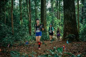 BIB: 
                            <button type="button" onclick="openModal(26129302)" class="btn btn-primary btn-sm float-right btn-popup" data-toggle="modal" data-target=".modal-high-quality">
                        <i class="fas fa-shopping-cart"></i> Add to Cart
                    </button>
                                            <button type="button" onclick="isThisMe(26129302, true)" class="btn btn-success btn-sm float-right btn-popup btn-isme hidden" data-toggle="tooltip" data-placement="bottom" title="นี่คือรูปของคุณใช่ไหม คลิกที่นี่เพื่อเอาเข้าอัลบั้ม">
                        <i class="fas fa-plus"></i> Add to album
                    </button>
                    <button type="button" onclick="isThisMe(26129302, false)" class="btn btn-warning btn-sm float-right btn-popup btn-isnotme hidden">
                        <i class="fas fa-ban"></i> Remove from album
                    </button>