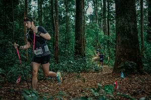 BIB: 
                            <button type="button" onclick="openModal(26131264)" class="btn btn-primary btn-sm float-right btn-popup" data-toggle="modal" data-target=".modal-high-quality">
                        <i class="fas fa-shopping-cart"></i> Add to Cart
                    </button>
                                            <button type="button" onclick="isThisMe(26131264, true)" class="btn btn-success btn-sm float-right btn-popup btn-isme hidden" data-toggle="tooltip" data-placement="bottom" title="นี่คือรูปของคุณใช่ไหม คลิกที่นี่เพื่อเอาเข้าอัลบั้ม">
                        <i class="fas fa-plus"></i> Add to album
                    </button>
                    <button type="button" onclick="isThisMe(26131264, false)" class="btn btn-warning btn-sm float-right btn-popup btn-isnotme hidden">
                        <i class="fas fa-ban"></i> Remove from album
                    </button>