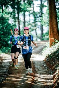 BIB: 
                            <button type="button" onclick="openModal(25837235)" class="btn btn-primary btn-sm float-right btn-popup" data-toggle="modal" data-target=".modal-high-quality">
                        <i class="fas fa-shopping-cart"></i> Add to Cart
                    </button>
                                            <button type="button" onclick="isThisMe(25837235, true)" class="btn btn-success btn-sm float-right btn-popup btn-isme hidden" data-toggle="tooltip" data-placement="bottom" title="นี่คือรูปของคุณใช่ไหม คลิกที่นี่เพื่อเอาเข้าอัลบั้ม">
                        <i class="fas fa-plus"></i> Add to album
                    </button>
                    <button type="button" onclick="isThisMe(25837235, false)" class="btn btn-warning btn-sm float-right btn-popup btn-isnotme hidden">
                        <i class="fas fa-ban"></i> Remove from album
                    </button>