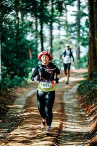 BIB: 
                            <button type="button" onclick="openModal(25904326)" class="btn btn-primary btn-sm float-right btn-popup" data-toggle="modal" data-target=".modal-high-quality">
                        <i class="fas fa-shopping-cart"></i> Add to Cart
                    </button>
                                            <button type="button" onclick="isThisMe(25904326, true)" class="btn btn-success btn-sm float-right btn-popup btn-isme hidden" data-toggle="tooltip" data-placement="bottom" title="นี่คือรูปของคุณใช่ไหม คลิกที่นี่เพื่อเอาเข้าอัลบั้ม">
                        <i class="fas fa-plus"></i> Add to album
                    </button>
                    <button type="button" onclick="isThisMe(25904326, false)" class="btn btn-warning btn-sm float-right btn-popup btn-isnotme hidden">
                        <i class="fas fa-ban"></i> Remove from album
                    </button>