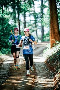 BIB: 
                            <button type="button" onclick="openModal(25837193)" class="btn btn-primary btn-sm float-right btn-popup" data-toggle="modal" data-target=".modal-high-quality">
                        <i class="fas fa-shopping-cart"></i> Add to Cart
                    </button>
                                            <button type="button" onclick="isThisMe(25837193, true)" class="btn btn-success btn-sm float-right btn-popup btn-isme hidden" data-toggle="tooltip" data-placement="bottom" title="นี่คือรูปของคุณใช่ไหม คลิกที่นี่เพื่อเอาเข้าอัลบั้ม">
                        <i class="fas fa-plus"></i> Add to album
                    </button>
                    <button type="button" onclick="isThisMe(25837193, false)" class="btn btn-warning btn-sm float-right btn-popup btn-isnotme hidden">
                        <i class="fas fa-ban"></i> Remove from album
                    </button>