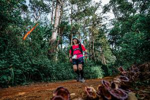 BIB: 
                            <button type="button" onclick="openModal(25880396)" class="btn btn-primary btn-sm float-right btn-popup" data-toggle="modal" data-target=".modal-high-quality">
                        <i class="fas fa-shopping-cart"></i> Add to Cart
                    </button>
                                            <button type="button" onclick="isThisMe(25880396, true)" class="btn btn-success btn-sm float-right btn-popup btn-isme hidden" data-toggle="tooltip" data-placement="bottom" title="นี่คือรูปของคุณใช่ไหม คลิกที่นี่เพื่อเอาเข้าอัลบั้ม">
                        <i class="fas fa-plus"></i> Add to album
                    </button>
                    <button type="button" onclick="isThisMe(25880396, false)" class="btn btn-warning btn-sm float-right btn-popup btn-isnotme hidden">
                        <i class="fas fa-ban"></i> Remove from album
                    </button>