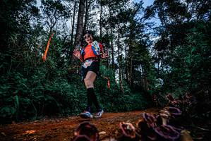 BIB: 
                            <button type="button" onclick="openModal(25880752)" class="btn btn-primary btn-sm float-right btn-popup" data-toggle="modal" data-target=".modal-high-quality">
                        <i class="fas fa-shopping-cart"></i> Add to Cart
                    </button>
                                            <button type="button" onclick="isThisMe(25880752, true)" class="btn btn-success btn-sm float-right btn-popup btn-isme hidden" data-toggle="tooltip" data-placement="bottom" title="นี่คือรูปของคุณใช่ไหม คลิกที่นี่เพื่อเอาเข้าอัลบั้ม">
                        <i class="fas fa-plus"></i> Add to album
                    </button>
                    <button type="button" onclick="isThisMe(25880752, false)" class="btn btn-warning btn-sm float-right btn-popup btn-isnotme hidden">
                        <i class="fas fa-ban"></i> Remove from album
                    </button>