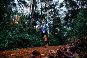 BIB: 
                            <button type="button" onclick="openModal(25879295)" class="btn btn-primary btn-sm float-right btn-popup" data-toggle="modal" data-target=".modal-high-quality">
                        <i class="fas fa-shopping-cart"></i> Add to Cart
                    </button>
                                            <button type="button" onclick="isThisMe(25879295, true)" class="btn btn-success btn-sm float-right btn-popup btn-isme hidden" data-toggle="tooltip" data-placement="bottom" title="นี่คือรูปของคุณใช่ไหม คลิกที่นี่เพื่อเอาเข้าอัลบั้ม">
                        <i class="fas fa-plus"></i> Add to album
                    </button>
                    <button type="button" onclick="isThisMe(25879295, false)" class="btn btn-warning btn-sm float-right btn-popup btn-isnotme hidden">
                        <i class="fas fa-ban"></i> Remove from album
                    </button>