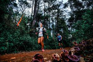 BIB: 
                            <button type="button" onclick="openModal(25879286)" class="btn btn-primary btn-sm float-right btn-popup" data-toggle="modal" data-target=".modal-high-quality">
                        <i class="fas fa-shopping-cart"></i> Add to Cart
                    </button>
                                            <button type="button" onclick="isThisMe(25879286, true)" class="btn btn-success btn-sm float-right btn-popup btn-isme hidden" data-toggle="tooltip" data-placement="bottom" title="นี่คือรูปของคุณใช่ไหม คลิกที่นี่เพื่อเอาเข้าอัลบั้ม">
                        <i class="fas fa-plus"></i> Add to album
                    </button>
                    <button type="button" onclick="isThisMe(25879286, false)" class="btn btn-warning btn-sm float-right btn-popup btn-isnotme hidden">
                        <i class="fas fa-ban"></i> Remove from album
                    </button>