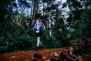 BIB: 
                            <button type="button" onclick="openModal(25879674)" class="btn btn-primary btn-sm float-right btn-popup" data-toggle="modal" data-target=".modal-high-quality">
                        <i class="fas fa-shopping-cart"></i> Add to Cart
                    </button>
                                            <button type="button" onclick="isThisMe(25879674, true)" class="btn btn-success btn-sm float-right btn-popup btn-isme hidden" data-toggle="tooltip" data-placement="bottom" title="นี่คือรูปของคุณใช่ไหม คลิกที่นี่เพื่อเอาเข้าอัลบั้ม">
                        <i class="fas fa-plus"></i> Add to album
                    </button>
                    <button type="button" onclick="isThisMe(25879674, false)" class="btn btn-warning btn-sm float-right btn-popup btn-isnotme hidden">
                        <i class="fas fa-ban"></i> Remove from album
                    </button>