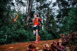 BIB: 
                            <button type="button" onclick="openModal(25881390)" class="btn btn-primary btn-sm float-right btn-popup" data-toggle="modal" data-target=".modal-high-quality">
                        <i class="fas fa-shopping-cart"></i> Add to Cart
                    </button>
                                            <button type="button" onclick="isThisMe(25881390, true)" class="btn btn-success btn-sm float-right btn-popup btn-isme hidden" data-toggle="tooltip" data-placement="bottom" title="นี่คือรูปของคุณใช่ไหม คลิกที่นี่เพื่อเอาเข้าอัลบั้ม">
                        <i class="fas fa-plus"></i> Add to album
                    </button>
                    <button type="button" onclick="isThisMe(25881390, false)" class="btn btn-warning btn-sm float-right btn-popup btn-isnotme hidden">
                        <i class="fas fa-ban"></i> Remove from album
                    </button>