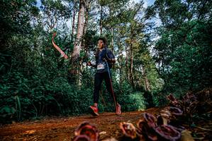 BIB: 
                            <button type="button" onclick="openModal(25880585)" class="btn btn-primary btn-sm float-right btn-popup" data-toggle="modal" data-target=".modal-high-quality">
                        <i class="fas fa-shopping-cart"></i> Add to Cart
                    </button>
                                            <button type="button" onclick="isThisMe(25880585, true)" class="btn btn-success btn-sm float-right btn-popup btn-isme hidden" data-toggle="tooltip" data-placement="bottom" title="นี่คือรูปของคุณใช่ไหม คลิกที่นี่เพื่อเอาเข้าอัลบั้ม">
                        <i class="fas fa-plus"></i> Add to album
                    </button>
                    <button type="button" onclick="isThisMe(25880585, false)" class="btn btn-warning btn-sm float-right btn-popup btn-isnotme hidden">
                        <i class="fas fa-ban"></i> Remove from album
                    </button>