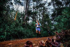 BIB: 
                            <button type="button" onclick="openModal(25881475)" class="btn btn-primary btn-sm float-right btn-popup" data-toggle="modal" data-target=".modal-high-quality">
                        <i class="fas fa-shopping-cart"></i> Add to Cart
                    </button>
                                            <button type="button" onclick="isThisMe(25881475, true)" class="btn btn-success btn-sm float-right btn-popup btn-isme hidden" data-toggle="tooltip" data-placement="bottom" title="นี่คือรูปของคุณใช่ไหม คลิกที่นี่เพื่อเอาเข้าอัลบั้ม">
                        <i class="fas fa-plus"></i> Add to album
                    </button>
                    <button type="button" onclick="isThisMe(25881475, false)" class="btn btn-warning btn-sm float-right btn-popup btn-isnotme hidden">
                        <i class="fas fa-ban"></i> Remove from album
                    </button>