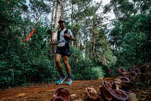 BIB: 
                            <button type="button" onclick="openModal(25880391)" class="btn btn-primary btn-sm float-right btn-popup" data-toggle="modal" data-target=".modal-high-quality">
                        <i class="fas fa-shopping-cart"></i> Add to Cart
                    </button>
                                            <button type="button" onclick="isThisMe(25880391, true)" class="btn btn-success btn-sm float-right btn-popup btn-isme hidden" data-toggle="tooltip" data-placement="bottom" title="นี่คือรูปของคุณใช่ไหม คลิกที่นี่เพื่อเอาเข้าอัลบั้ม">
                        <i class="fas fa-plus"></i> Add to album
                    </button>
                    <button type="button" onclick="isThisMe(25880391, false)" class="btn btn-warning btn-sm float-right btn-popup btn-isnotme hidden">
                        <i class="fas fa-ban"></i> Remove from album
                    </button>