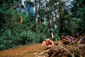 BIB: 
                            <button type="button" onclick="openModal(25878060)" class="btn btn-primary btn-sm float-right btn-popup" data-toggle="modal" data-target=".modal-high-quality">
                        <i class="fas fa-shopping-cart"></i> Add to Cart
                    </button>
                                            <button type="button" onclick="isThisMe(25878060, true)" class="btn btn-success btn-sm float-right btn-popup btn-isme hidden" data-toggle="tooltip" data-placement="bottom" title="นี่คือรูปของคุณใช่ไหม คลิกที่นี่เพื่อเอาเข้าอัลบั้ม">
                        <i class="fas fa-plus"></i> Add to album
                    </button>
                    <button type="button" onclick="isThisMe(25878060, false)" class="btn btn-warning btn-sm float-right btn-popup btn-isnotme hidden">
                        <i class="fas fa-ban"></i> Remove from album
                    </button>