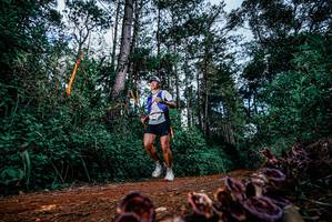 BIB: 
                            <button type="button" onclick="openModal(25879615)" class="btn btn-primary btn-sm float-right btn-popup" data-toggle="modal" data-target=".modal-high-quality">
                        <i class="fas fa-shopping-cart"></i> Add to Cart
                    </button>
                                            <button type="button" onclick="isThisMe(25879615, true)" class="btn btn-success btn-sm float-right btn-popup btn-isme hidden" data-toggle="tooltip" data-placement="bottom" title="นี่คือรูปของคุณใช่ไหม คลิกที่นี่เพื่อเอาเข้าอัลบั้ม">
                        <i class="fas fa-plus"></i> Add to album
                    </button>
                    <button type="button" onclick="isThisMe(25879615, false)" class="btn btn-warning btn-sm float-right btn-popup btn-isnotme hidden">
                        <i class="fas fa-ban"></i> Remove from album
                    </button>