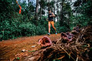 BIB: 
                            <button type="button" onclick="openModal(25878032)" class="btn btn-primary btn-sm float-right btn-popup" data-toggle="modal" data-target=".modal-high-quality">
                        <i class="fas fa-shopping-cart"></i> Add to Cart
                    </button>
                                            <button type="button" onclick="isThisMe(25878032, true)" class="btn btn-success btn-sm float-right btn-popup btn-isme hidden" data-toggle="tooltip" data-placement="bottom" title="นี่คือรูปของคุณใช่ไหม คลิกที่นี่เพื่อเอาเข้าอัลบั้ม">
                        <i class="fas fa-plus"></i> Add to album
                    </button>
                    <button type="button" onclick="isThisMe(25878032, false)" class="btn btn-warning btn-sm float-right btn-popup btn-isnotme hidden">
                        <i class="fas fa-ban"></i> Remove from album
                    </button>