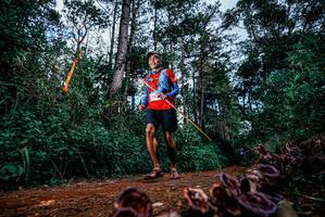 BIB: 
                            <button type="button" onclick="openModal(25879612)" class="btn btn-primary btn-sm float-right btn-popup" data-toggle="modal" data-target=".modal-high-quality">
                        <i class="fas fa-shopping-cart"></i> Add to Cart
                    </button>
                                            <button type="button" onclick="isThisMe(25879612, true)" class="btn btn-success btn-sm float-right btn-popup btn-isme hidden" data-toggle="tooltip" data-placement="bottom" title="นี่คือรูปของคุณใช่ไหม คลิกที่นี่เพื่อเอาเข้าอัลบั้ม">
                        <i class="fas fa-plus"></i> Add to album
                    </button>
                    <button type="button" onclick="isThisMe(25879612, false)" class="btn btn-warning btn-sm float-right btn-popup btn-isnotme hidden">
                        <i class="fas fa-ban"></i> Remove from album
                    </button>