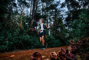 BIB: 
                            <button type="button" onclick="openModal(25882247)" class="btn btn-primary btn-sm float-right btn-popup" data-toggle="modal" data-target=".modal-high-quality">
                        <i class="fas fa-shopping-cart"></i> Add to Cart
                    </button>
                                            <button type="button" onclick="isThisMe(25882247, true)" class="btn btn-success btn-sm float-right btn-popup btn-isme hidden" data-toggle="tooltip" data-placement="bottom" title="นี่คือรูปของคุณใช่ไหม คลิกที่นี่เพื่อเอาเข้าอัลบั้ม">
                        <i class="fas fa-plus"></i> Add to album
                    </button>
                    <button type="button" onclick="isThisMe(25882247, false)" class="btn btn-warning btn-sm float-right btn-popup btn-isnotme hidden">
                        <i class="fas fa-ban"></i> Remove from album
                    </button>