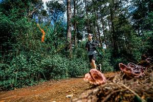 BIB: 
                            <button type="button" onclick="openModal(25878061)" class="btn btn-primary btn-sm float-right btn-popup" data-toggle="modal" data-target=".modal-high-quality">
                        <i class="fas fa-shopping-cart"></i> Add to Cart
                    </button>
                                            <button type="button" onclick="isThisMe(25878061, true)" class="btn btn-success btn-sm float-right btn-popup btn-isme hidden" data-toggle="tooltip" data-placement="bottom" title="นี่คือรูปของคุณใช่ไหม คลิกที่นี่เพื่อเอาเข้าอัลบั้ม">
                        <i class="fas fa-plus"></i> Add to album
                    </button>
                    <button type="button" onclick="isThisMe(25878061, false)" class="btn btn-warning btn-sm float-right btn-popup btn-isnotme hidden">
                        <i class="fas fa-ban"></i> Remove from album
                    </button>