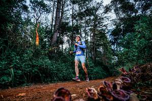 BIB: 
                            <button type="button" onclick="openModal(25880952)" class="btn btn-primary btn-sm float-right btn-popup" data-toggle="modal" data-target=".modal-high-quality">
                        <i class="fas fa-shopping-cart"></i> Add to Cart
                    </button>
                                            <button type="button" onclick="isThisMe(25880952, true)" class="btn btn-success btn-sm float-right btn-popup btn-isme hidden" data-toggle="tooltip" data-placement="bottom" title="นี่คือรูปของคุณใช่ไหม คลิกที่นี่เพื่อเอาเข้าอัลบั้ม">
                        <i class="fas fa-plus"></i> Add to album
                    </button>
                    <button type="button" onclick="isThisMe(25880952, false)" class="btn btn-warning btn-sm float-right btn-popup btn-isnotme hidden">
                        <i class="fas fa-ban"></i> Remove from album
                    </button>