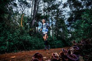 BIB: 
                            <button type="button" onclick="openModal(25879542)" class="btn btn-primary btn-sm float-right btn-popup" data-toggle="modal" data-target=".modal-high-quality">
                        <i class="fas fa-shopping-cart"></i> Add to Cart
                    </button>
                                            <button type="button" onclick="isThisMe(25879542, true)" class="btn btn-success btn-sm float-right btn-popup btn-isme hidden" data-toggle="tooltip" data-placement="bottom" title="นี่คือรูปของคุณใช่ไหม คลิกที่นี่เพื่อเอาเข้าอัลบั้ม">
                        <i class="fas fa-plus"></i> Add to album
                    </button>
                    <button type="button" onclick="isThisMe(25879542, false)" class="btn btn-warning btn-sm float-right btn-popup btn-isnotme hidden">
                        <i class="fas fa-ban"></i> Remove from album
                    </button>