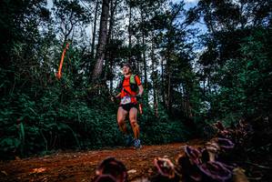 BIB: 
                            <button type="button" onclick="openModal(25880767)" class="btn btn-primary btn-sm float-right btn-popup" data-toggle="modal" data-target=".modal-high-quality">
                        <i class="fas fa-shopping-cart"></i> Add to Cart
                    </button>
                                            <button type="button" onclick="isThisMe(25880767, true)" class="btn btn-success btn-sm float-right btn-popup btn-isme hidden" data-toggle="tooltip" data-placement="bottom" title="นี่คือรูปของคุณใช่ไหม คลิกที่นี่เพื่อเอาเข้าอัลบั้ม">
                        <i class="fas fa-plus"></i> Add to album
                    </button>
                    <button type="button" onclick="isThisMe(25880767, false)" class="btn btn-warning btn-sm float-right btn-popup btn-isnotme hidden">
                        <i class="fas fa-ban"></i> Remove from album
                    </button>