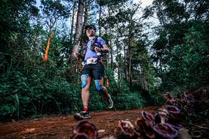 BIB: 
                            <button type="button" onclick="openModal(25880262)" class="btn btn-primary btn-sm float-right btn-popup" data-toggle="modal" data-target=".modal-high-quality">
                        <i class="fas fa-shopping-cart"></i> Add to Cart
                    </button>
                                            <button type="button" onclick="isThisMe(25880262, true)" class="btn btn-success btn-sm float-right btn-popup btn-isme hidden" data-toggle="tooltip" data-placement="bottom" title="นี่คือรูปของคุณใช่ไหม คลิกที่นี่เพื่อเอาเข้าอัลบั้ม">
                        <i class="fas fa-plus"></i> Add to album
                    </button>
                    <button type="button" onclick="isThisMe(25880262, false)" class="btn btn-warning btn-sm float-right btn-popup btn-isnotme hidden">
                        <i class="fas fa-ban"></i> Remove from album
                    </button>