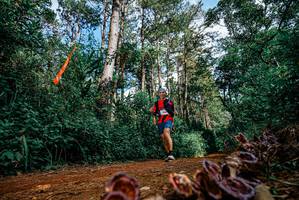 BIB: 
                            <button type="button" onclick="openModal(25880316)" class="btn btn-primary btn-sm float-right btn-popup" data-toggle="modal" data-target=".modal-high-quality">
                        <i class="fas fa-shopping-cart"></i> Add to Cart
                    </button>
                                            <button type="button" onclick="isThisMe(25880316, true)" class="btn btn-success btn-sm float-right btn-popup btn-isme hidden" data-toggle="tooltip" data-placement="bottom" title="นี่คือรูปของคุณใช่ไหม คลิกที่นี่เพื่อเอาเข้าอัลบั้ม">
                        <i class="fas fa-plus"></i> Add to album
                    </button>
                    <button type="button" onclick="isThisMe(25880316, false)" class="btn btn-warning btn-sm float-right btn-popup btn-isnotme hidden">
                        <i class="fas fa-ban"></i> Remove from album
                    </button>