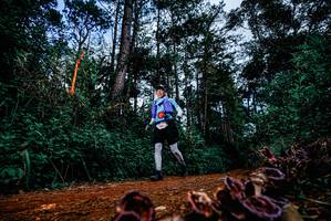 BIB: 
                            <button type="button" onclick="openModal(25879663)" class="btn btn-primary btn-sm float-right btn-popup" data-toggle="modal" data-target=".modal-high-quality">
                        <i class="fas fa-shopping-cart"></i> Add to Cart
                    </button>
                                            <button type="button" onclick="isThisMe(25879663, true)" class="btn btn-success btn-sm float-right btn-popup btn-isme hidden" data-toggle="tooltip" data-placement="bottom" title="นี่คือรูปของคุณใช่ไหม คลิกที่นี่เพื่อเอาเข้าอัลบั้ม">
                        <i class="fas fa-plus"></i> Add to album
                    </button>
                    <button type="button" onclick="isThisMe(25879663, false)" class="btn btn-warning btn-sm float-right btn-popup btn-isnotme hidden">
                        <i class="fas fa-ban"></i> Remove from album
                    </button>