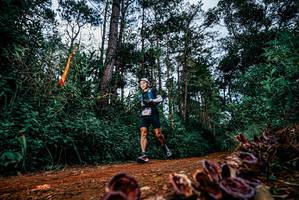 BIB: 
                            <button type="button" onclick="openModal(25881500)" class="btn btn-primary btn-sm float-right btn-popup" data-toggle="modal" data-target=".modal-high-quality">
                        <i class="fas fa-shopping-cart"></i> Add to Cart
                    </button>
                                            <button type="button" onclick="isThisMe(25881500, true)" class="btn btn-success btn-sm float-right btn-popup btn-isme hidden" data-toggle="tooltip" data-placement="bottom" title="นี่คือรูปของคุณใช่ไหม คลิกที่นี่เพื่อเอาเข้าอัลบั้ม">
                        <i class="fas fa-plus"></i> Add to album
                    </button>
                    <button type="button" onclick="isThisMe(25881500, false)" class="btn btn-warning btn-sm float-right btn-popup btn-isnotme hidden">
                        <i class="fas fa-ban"></i> Remove from album
                    </button>