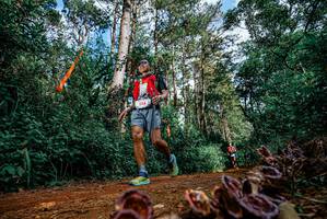 BIB: 
                            <button type="button" onclick="openModal(25880337)" class="btn btn-primary btn-sm float-right btn-popup" data-toggle="modal" data-target=".modal-high-quality">
                        <i class="fas fa-shopping-cart"></i> Add to Cart
                    </button>
                                            <button type="button" onclick="isThisMe(25880337, true)" class="btn btn-success btn-sm float-right btn-popup btn-isme hidden" data-toggle="tooltip" data-placement="bottom" title="นี่คือรูปของคุณใช่ไหม คลิกที่นี่เพื่อเอาเข้าอัลบั้ม">
                        <i class="fas fa-plus"></i> Add to album
                    </button>
                    <button type="button" onclick="isThisMe(25880337, false)" class="btn btn-warning btn-sm float-right btn-popup btn-isnotme hidden">
                        <i class="fas fa-ban"></i> Remove from album
                    </button>