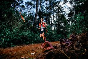 BIB: 
                            <button type="button" onclick="openModal(25878000)" class="btn btn-primary btn-sm float-right btn-popup" data-toggle="modal" data-target=".modal-high-quality">
                        <i class="fas fa-shopping-cart"></i> Add to Cart
                    </button>
                                            <button type="button" onclick="isThisMe(25878000, true)" class="btn btn-success btn-sm float-right btn-popup btn-isme hidden" data-toggle="tooltip" data-placement="bottom" title="นี่คือรูปของคุณใช่ไหม คลิกที่นี่เพื่อเอาเข้าอัลบั้ม">
                        <i class="fas fa-plus"></i> Add to album
                    </button>
                    <button type="button" onclick="isThisMe(25878000, false)" class="btn btn-warning btn-sm float-right btn-popup btn-isnotme hidden">
                        <i class="fas fa-ban"></i> Remove from album
                    </button>