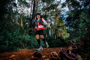 BIB: 
                            <button type="button" onclick="openModal(25882489)" class="btn btn-primary btn-sm float-right btn-popup" data-toggle="modal" data-target=".modal-high-quality">
                        <i class="fas fa-shopping-cart"></i> Add to Cart
                    </button>
                                            <button type="button" onclick="isThisMe(25882489, true)" class="btn btn-success btn-sm float-right btn-popup btn-isme hidden" data-toggle="tooltip" data-placement="bottom" title="นี่คือรูปของคุณใช่ไหม คลิกที่นี่เพื่อเอาเข้าอัลบั้ม">
                        <i class="fas fa-plus"></i> Add to album
                    </button>
                    <button type="button" onclick="isThisMe(25882489, false)" class="btn btn-warning btn-sm float-right btn-popup btn-isnotme hidden">
                        <i class="fas fa-ban"></i> Remove from album
                    </button>