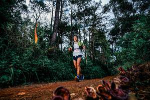 BIB: 
                            <button type="button" onclick="openModal(25881284)" class="btn btn-primary btn-sm float-right btn-popup" data-toggle="modal" data-target=".modal-high-quality">
                        <i class="fas fa-shopping-cart"></i> Add to Cart
                    </button>
                                            <button type="button" onclick="isThisMe(25881284, true)" class="btn btn-success btn-sm float-right btn-popup btn-isme hidden" data-toggle="tooltip" data-placement="bottom" title="นี่คือรูปของคุณใช่ไหม คลิกที่นี่เพื่อเอาเข้าอัลบั้ม">
                        <i class="fas fa-plus"></i> Add to album
                    </button>
                    <button type="button" onclick="isThisMe(25881284, false)" class="btn btn-warning btn-sm float-right btn-popup btn-isnotme hidden">
                        <i class="fas fa-ban"></i> Remove from album
                    </button>