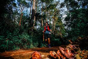 BIB: 
                            <button type="button" onclick="openModal(25882333)" class="btn btn-primary btn-sm float-right btn-popup" data-toggle="modal" data-target=".modal-high-quality">
                        <i class="fas fa-shopping-cart"></i> Add to Cart
                    </button>
                                            <button type="button" onclick="isThisMe(25882333, true)" class="btn btn-success btn-sm float-right btn-popup btn-isme hidden" data-toggle="tooltip" data-placement="bottom" title="นี่คือรูปของคุณใช่ไหม คลิกที่นี่เพื่อเอาเข้าอัลบั้ม">
                        <i class="fas fa-plus"></i> Add to album
                    </button>
                    <button type="button" onclick="isThisMe(25882333, false)" class="btn btn-warning btn-sm float-right btn-popup btn-isnotme hidden">
                        <i class="fas fa-ban"></i> Remove from album
                    </button>