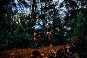 BIB: 
                            <button type="button" onclick="openModal(25882116)" class="btn btn-primary btn-sm float-right btn-popup" data-toggle="modal" data-target=".modal-high-quality">
                        <i class="fas fa-shopping-cart"></i> Add to Cart
                    </button>
                                            <button type="button" onclick="isThisMe(25882116, true)" class="btn btn-success btn-sm float-right btn-popup btn-isme hidden" data-toggle="tooltip" data-placement="bottom" title="นี่คือรูปของคุณใช่ไหม คลิกที่นี่เพื่อเอาเข้าอัลบั้ม">
                        <i class="fas fa-plus"></i> Add to album
                    </button>
                    <button type="button" onclick="isThisMe(25882116, false)" class="btn btn-warning btn-sm float-right btn-popup btn-isnotme hidden">
                        <i class="fas fa-ban"></i> Remove from album
                    </button>