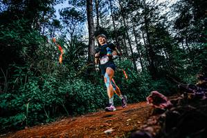 BIB: 
                            <button type="button" onclick="openModal(25878079)" class="btn btn-primary btn-sm float-right btn-popup" data-toggle="modal" data-target=".modal-high-quality">
                        <i class="fas fa-shopping-cart"></i> Add to Cart
                    </button>
                                            <button type="button" onclick="isThisMe(25878079, true)" class="btn btn-success btn-sm float-right btn-popup btn-isme hidden" data-toggle="tooltip" data-placement="bottom" title="นี่คือรูปของคุณใช่ไหม คลิกที่นี่เพื่อเอาเข้าอัลบั้ม">
                        <i class="fas fa-plus"></i> Add to album
                    </button>
                    <button type="button" onclick="isThisMe(25878079, false)" class="btn btn-warning btn-sm float-right btn-popup btn-isnotme hidden">
                        <i class="fas fa-ban"></i> Remove from album
                    </button>