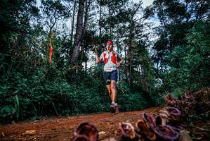 BIB: 
                            <button type="button" onclick="openModal(25880989)" class="btn btn-primary btn-sm float-right btn-popup" data-toggle="modal" data-target=".modal-high-quality">
                        <i class="fas fa-shopping-cart"></i> Add to Cart
                    </button>
                                            <button type="button" onclick="isThisMe(25880989, true)" class="btn btn-success btn-sm float-right btn-popup btn-isme hidden" data-toggle="tooltip" data-placement="bottom" title="นี่คือรูปของคุณใช่ไหม คลิกที่นี่เพื่อเอาเข้าอัลบั้ม">
                        <i class="fas fa-plus"></i> Add to album
                    </button>
                    <button type="button" onclick="isThisMe(25880989, false)" class="btn btn-warning btn-sm float-right btn-popup btn-isnotme hidden">
                        <i class="fas fa-ban"></i> Remove from album
                    </button>