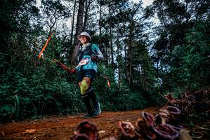 BIB: 
                            <button type="button" onclick="openModal(25880873)" class="btn btn-primary btn-sm float-right btn-popup" data-toggle="modal" data-target=".modal-high-quality">
                        <i class="fas fa-shopping-cart"></i> Add to Cart
                    </button>
                                            <button type="button" onclick="isThisMe(25880873, true)" class="btn btn-success btn-sm float-right btn-popup btn-isme hidden" data-toggle="tooltip" data-placement="bottom" title="นี่คือรูปของคุณใช่ไหม คลิกที่นี่เพื่อเอาเข้าอัลบั้ม">
                        <i class="fas fa-plus"></i> Add to album
                    </button>
                    <button type="button" onclick="isThisMe(25880873, false)" class="btn btn-warning btn-sm float-right btn-popup btn-isnotme hidden">
                        <i class="fas fa-ban"></i> Remove from album
                    </button>