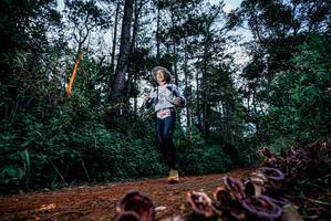 BIB: 
                            <button type="button" onclick="openModal(25879413)" class="btn btn-primary btn-sm float-right btn-popup" data-toggle="modal" data-target=".modal-high-quality">
                        <i class="fas fa-shopping-cart"></i> Add to Cart
                    </button>
                                            <button type="button" onclick="isThisMe(25879413, true)" class="btn btn-success btn-sm float-right btn-popup btn-isme hidden" data-toggle="tooltip" data-placement="bottom" title="นี่คือรูปของคุณใช่ไหม คลิกที่นี่เพื่อเอาเข้าอัลบั้ม">
                        <i class="fas fa-plus"></i> Add to album
                    </button>
                    <button type="button" onclick="isThisMe(25879413, false)" class="btn btn-warning btn-sm float-right btn-popup btn-isnotme hidden">
                        <i class="fas fa-ban"></i> Remove from album
                    </button>