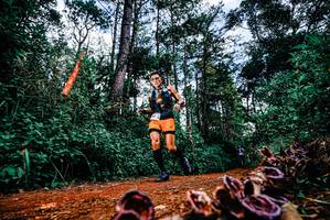 BIB: 
                            <button type="button" onclick="openModal(25879176)" class="btn btn-primary btn-sm float-right btn-popup" data-toggle="modal" data-target=".modal-high-quality">
                        <i class="fas fa-shopping-cart"></i> Add to Cart
                    </button>
                                            <button type="button" onclick="isThisMe(25879176, true)" class="btn btn-success btn-sm float-right btn-popup btn-isme hidden" data-toggle="tooltip" data-placement="bottom" title="นี่คือรูปของคุณใช่ไหม คลิกที่นี่เพื่อเอาเข้าอัลบั้ม">
                        <i class="fas fa-plus"></i> Add to album
                    </button>
                    <button type="button" onclick="isThisMe(25879176, false)" class="btn btn-warning btn-sm float-right btn-popup btn-isnotme hidden">
                        <i class="fas fa-ban"></i> Remove from album
                    </button>