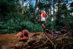 BIB: 
                            <button type="button" onclick="openModal(25878256)" class="btn btn-primary btn-sm float-right btn-popup" data-toggle="modal" data-target=".modal-high-quality">
                        <i class="fas fa-shopping-cart"></i> Add to Cart
                    </button>
                                            <button type="button" onclick="isThisMe(25878256, true)" class="btn btn-success btn-sm float-right btn-popup btn-isme hidden" data-toggle="tooltip" data-placement="bottom" title="นี่คือรูปของคุณใช่ไหม คลิกที่นี่เพื่อเอาเข้าอัลบั้ม">
                        <i class="fas fa-plus"></i> Add to album
                    </button>
                    <button type="button" onclick="isThisMe(25878256, false)" class="btn btn-warning btn-sm float-right btn-popup btn-isnotme hidden">
                        <i class="fas fa-ban"></i> Remove from album
                    </button>