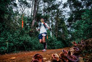 BIB: 
                            <button type="button" onclick="openModal(25881381)" class="btn btn-primary btn-sm float-right btn-popup" data-toggle="modal" data-target=".modal-high-quality">
                        <i class="fas fa-shopping-cart"></i> Add to Cart
                    </button>
                                            <button type="button" onclick="isThisMe(25881381, true)" class="btn btn-success btn-sm float-right btn-popup btn-isme hidden" data-toggle="tooltip" data-placement="bottom" title="นี่คือรูปของคุณใช่ไหม คลิกที่นี่เพื่อเอาเข้าอัลบั้ม">
                        <i class="fas fa-plus"></i> Add to album
                    </button>
                    <button type="button" onclick="isThisMe(25881381, false)" class="btn btn-warning btn-sm float-right btn-popup btn-isnotme hidden">
                        <i class="fas fa-ban"></i> Remove from album
                    </button>