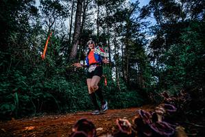 BIB: 
                            <button type="button" onclick="openModal(25880751)" class="btn btn-primary btn-sm float-right btn-popup" data-toggle="modal" data-target=".modal-high-quality">
                        <i class="fas fa-shopping-cart"></i> Add to Cart
                    </button>
                                            <button type="button" onclick="isThisMe(25880751, true)" class="btn btn-success btn-sm float-right btn-popup btn-isme hidden" data-toggle="tooltip" data-placement="bottom" title="นี่คือรูปของคุณใช่ไหม คลิกที่นี่เพื่อเอาเข้าอัลบั้ม">
                        <i class="fas fa-plus"></i> Add to album
                    </button>
                    <button type="button" onclick="isThisMe(25880751, false)" class="btn btn-warning btn-sm float-right btn-popup btn-isnotme hidden">
                        <i class="fas fa-ban"></i> Remove from album
                    </button>