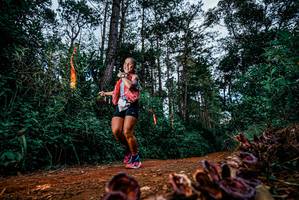 BIB: 
                            <button type="button" onclick="openModal(25881169)" class="btn btn-primary btn-sm float-right btn-popup" data-toggle="modal" data-target=".modal-high-quality">
                        <i class="fas fa-shopping-cart"></i> Add to Cart
                    </button>
                                            <button type="button" onclick="isThisMe(25881169, true)" class="btn btn-success btn-sm float-right btn-popup btn-isme hidden" data-toggle="tooltip" data-placement="bottom" title="นี่คือรูปของคุณใช่ไหม คลิกที่นี่เพื่อเอาเข้าอัลบั้ม">
                        <i class="fas fa-plus"></i> Add to album
                    </button>
                    <button type="button" onclick="isThisMe(25881169, false)" class="btn btn-warning btn-sm float-right btn-popup btn-isnotme hidden">
                        <i class="fas fa-ban"></i> Remove from album
                    </button>