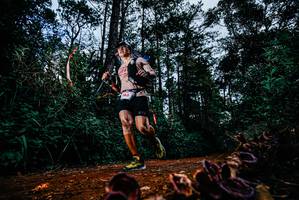 BIB: 
                            <button type="button" onclick="openModal(25882171)" class="btn btn-primary btn-sm float-right btn-popup" data-toggle="modal" data-target=".modal-high-quality">
                        <i class="fas fa-shopping-cart"></i> Add to Cart
                    </button>
                                            <button type="button" onclick="isThisMe(25882171, true)" class="btn btn-success btn-sm float-right btn-popup btn-isme hidden" data-toggle="tooltip" data-placement="bottom" title="นี่คือรูปของคุณใช่ไหม คลิกที่นี่เพื่อเอาเข้าอัลบั้ม">
                        <i class="fas fa-plus"></i> Add to album
                    </button>
                    <button type="button" onclick="isThisMe(25882171, false)" class="btn btn-warning btn-sm float-right btn-popup btn-isnotme hidden">
                        <i class="fas fa-ban"></i> Remove from album
                    </button>