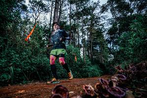 BIB: 
                            <button type="button" onclick="openModal(25879588)" class="btn btn-primary btn-sm float-right btn-popup" data-toggle="modal" data-target=".modal-high-quality">
                        <i class="fas fa-shopping-cart"></i> Add to Cart
                    </button>
                                            <button type="button" onclick="isThisMe(25879588, true)" class="btn btn-success btn-sm float-right btn-popup btn-isme hidden" data-toggle="tooltip" data-placement="bottom" title="นี่คือรูปของคุณใช่ไหม คลิกที่นี่เพื่อเอาเข้าอัลบั้ม">
                        <i class="fas fa-plus"></i> Add to album
                    </button>
                    <button type="button" onclick="isThisMe(25879588, false)" class="btn btn-warning btn-sm float-right btn-popup btn-isnotme hidden">
                        <i class="fas fa-ban"></i> Remove from album
                    </button>