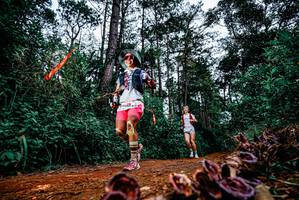 BIB: 
                            <button type="button" onclick="openModal(25879916)" class="btn btn-primary btn-sm float-right btn-popup" data-toggle="modal" data-target=".modal-high-quality">
                        <i class="fas fa-shopping-cart"></i> Add to Cart
                    </button>
                                            <button type="button" onclick="isThisMe(25879916, true)" class="btn btn-success btn-sm float-right btn-popup btn-isme hidden" data-toggle="tooltip" data-placement="bottom" title="นี่คือรูปของคุณใช่ไหม คลิกที่นี่เพื่อเอาเข้าอัลบั้ม">
                        <i class="fas fa-plus"></i> Add to album
                    </button>
                    <button type="button" onclick="isThisMe(25879916, false)" class="btn btn-warning btn-sm float-right btn-popup btn-isnotme hidden">
                        <i class="fas fa-ban"></i> Remove from album
                    </button>